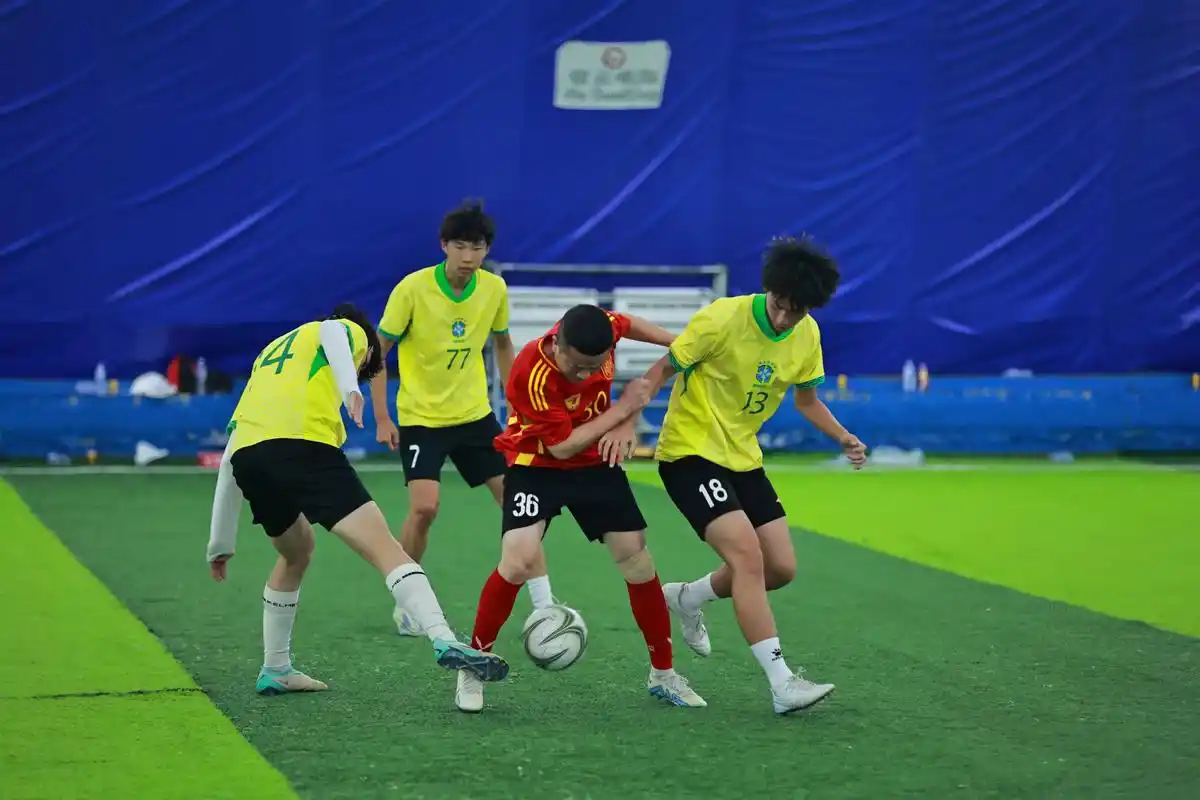 雨燕免费直播在线观看